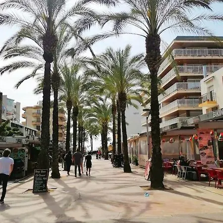 Gran Piso A Metros De La Playa Apartamento *